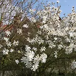 Monts Et Merveilles Couette-café Godewaersvelde