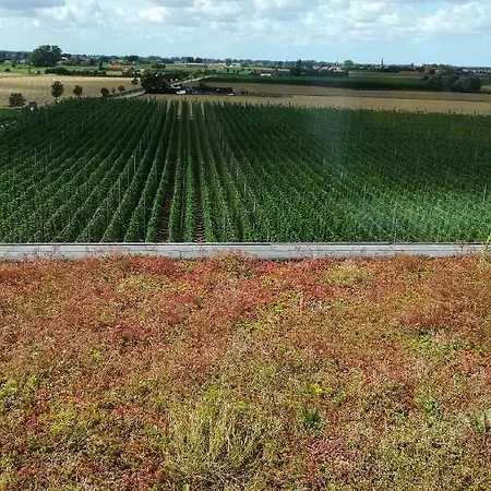 Monts Et Merveilles B&B