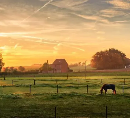 B&B Monts Et Merveilles Godewaersvelde