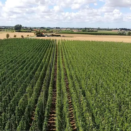 B&B Monts Et Merveilles Godewaersvelde