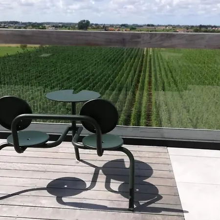 Monts Et Merveilles Bed & Breakfast Godewaersvelde