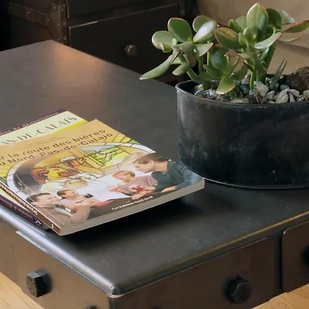 Monts Et Merveilles B&B Godewaersvelde