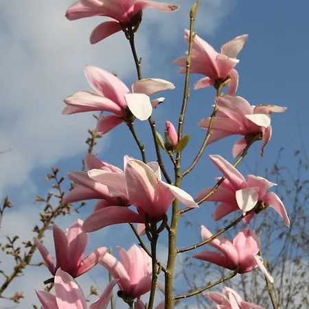 Monts Et Merveilles B&B