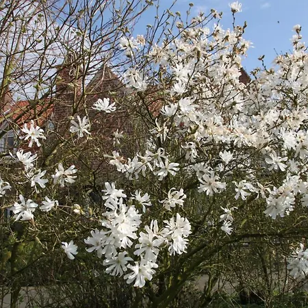 Monts Et Merveilles B&B Godewaersvelde