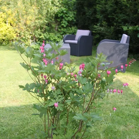 Monts Et Merveilles 3* Godewaersvelde